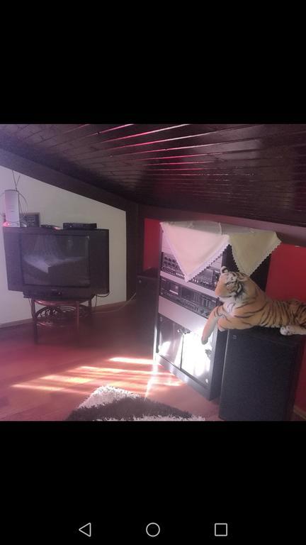 Odvojak Apartments Crikvenica Bagian luar foto